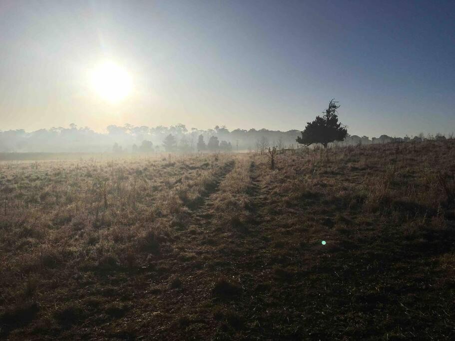 Photo of Outdoor in Armidale