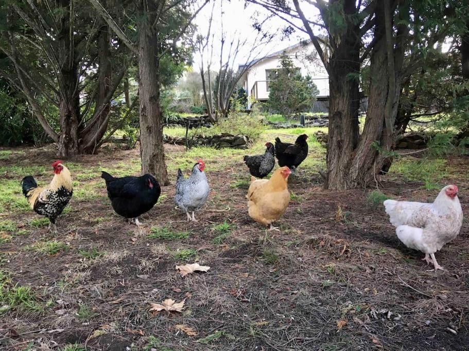 Photo of Others in Armidale