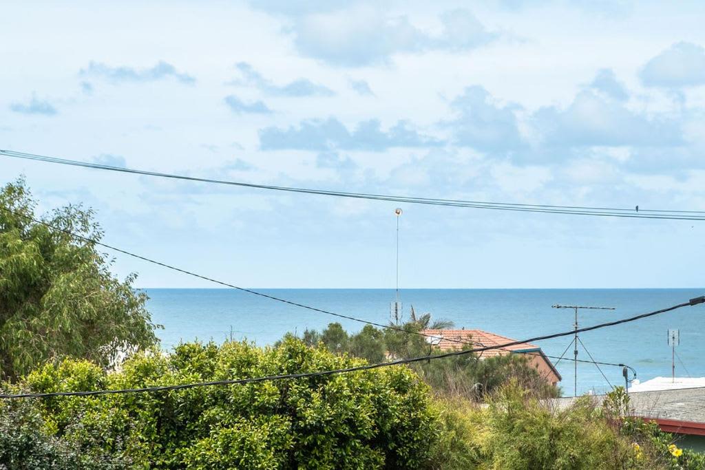 Photo of Others in Shelly Beach