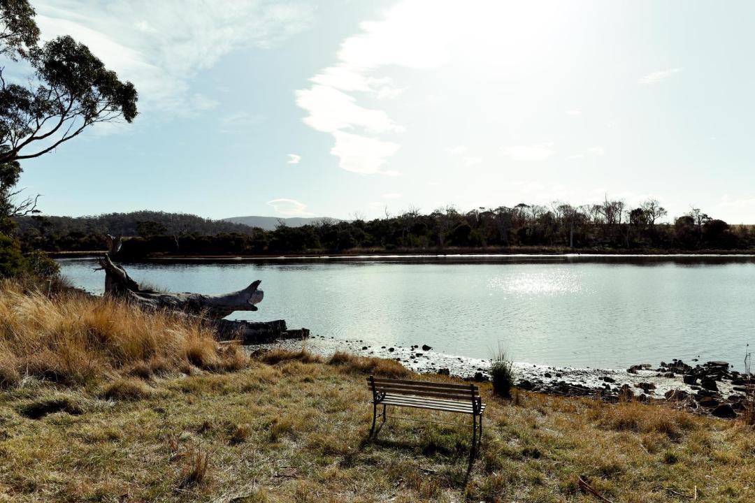 Photo of Others in Little Swanport