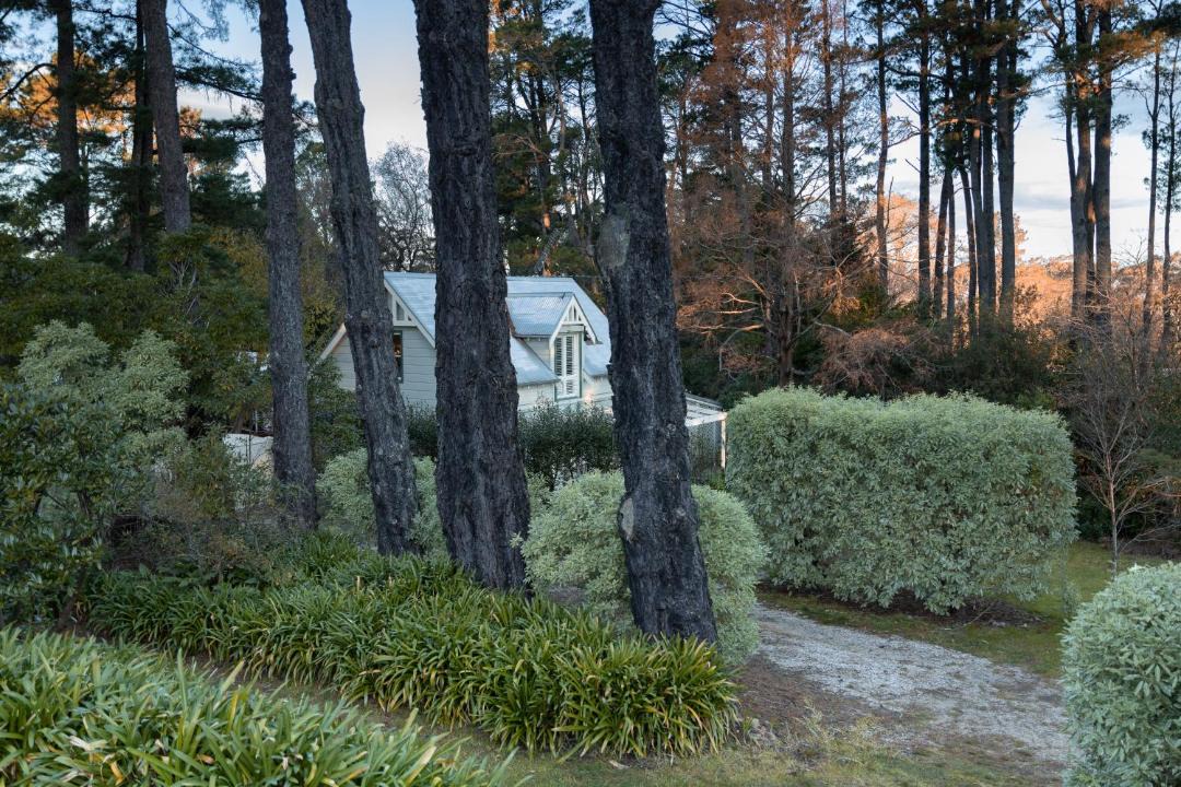 Photo of Others in Wentworth Falls