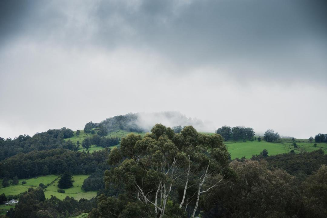 Photo of Others in Geeveston