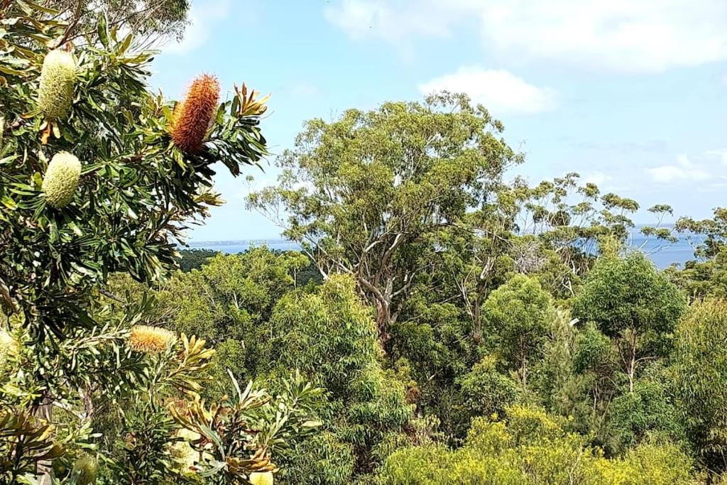 Photo of Outdoor in Kingfisher Bay