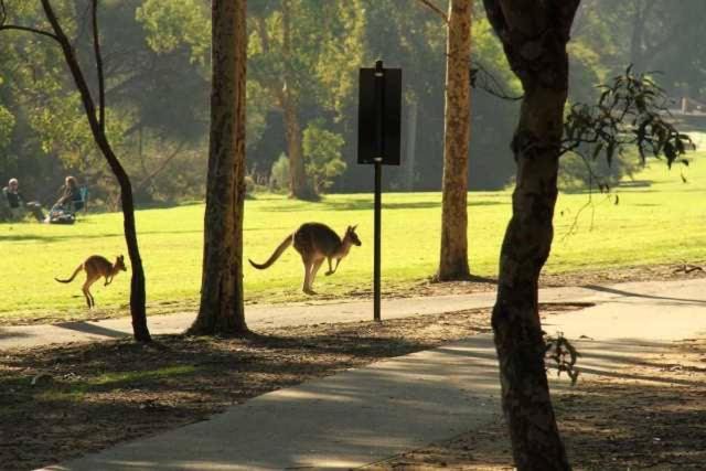 Photo of Others in Lysterfield South