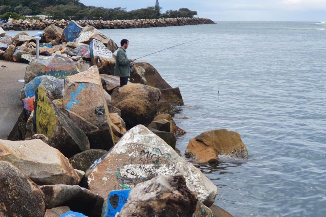 Photo of Others in Nambucca Heads