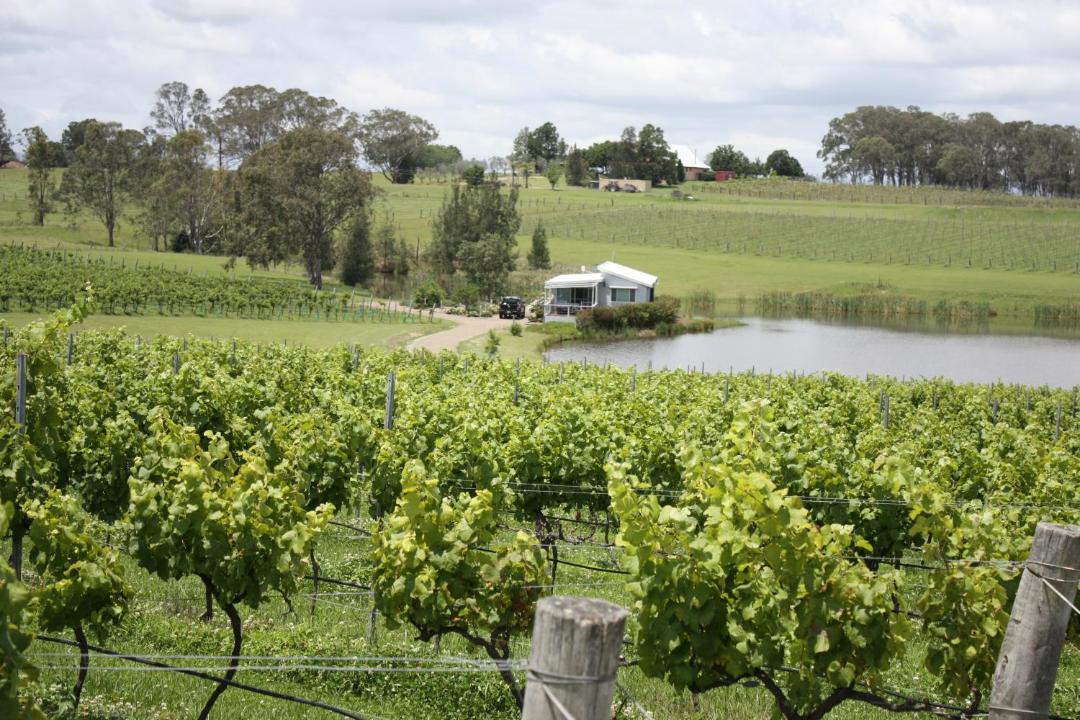 Photo of Outdoor in Lovedale