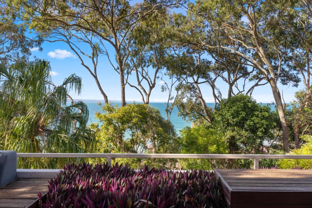 Photo of Others in Noosa Heads