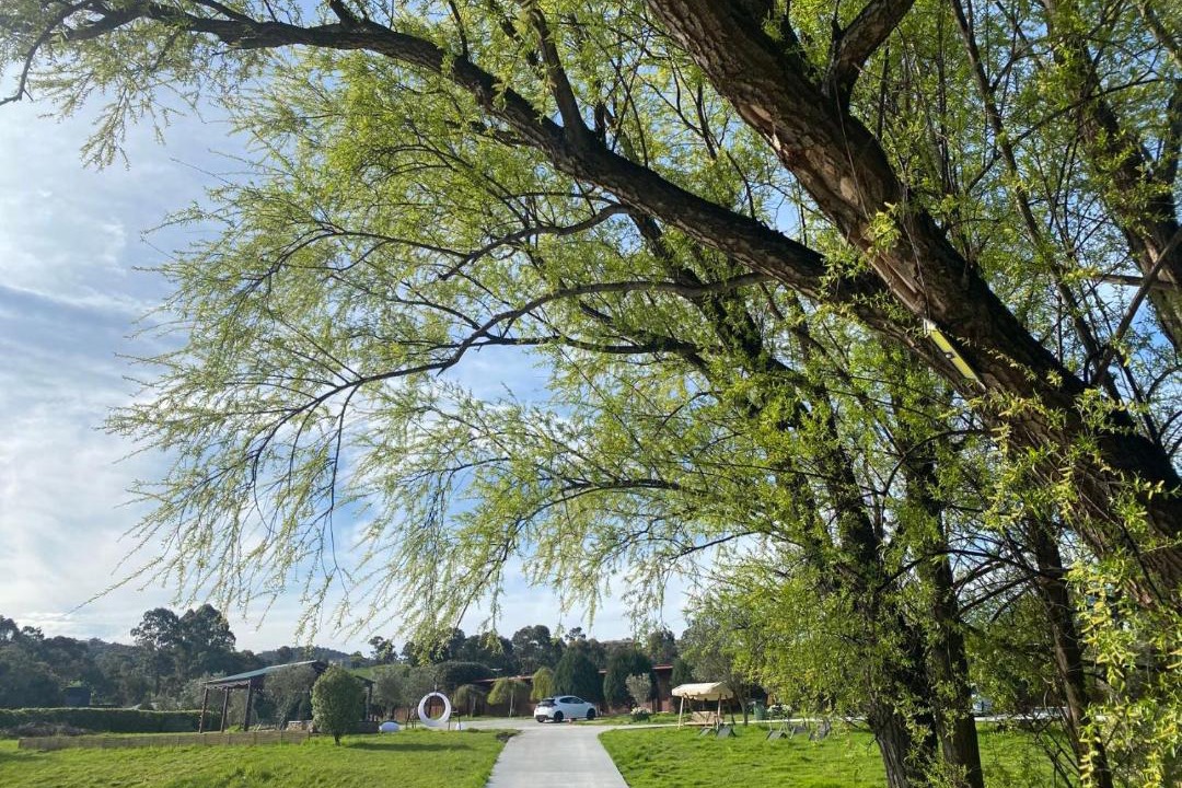 Photo of Others in Dixons Creek