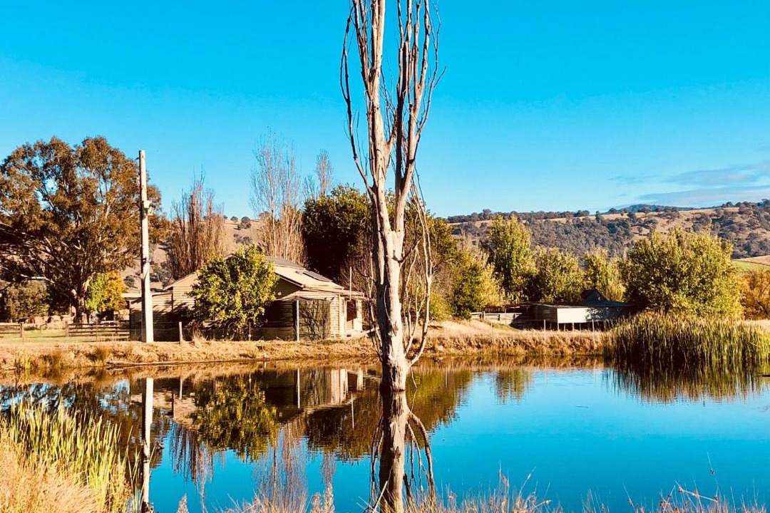 Photo of Outdoor in Bridge Creek