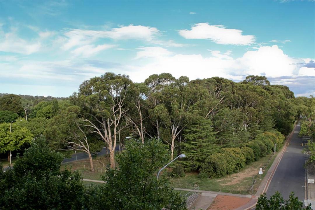 Photo of Others in City East