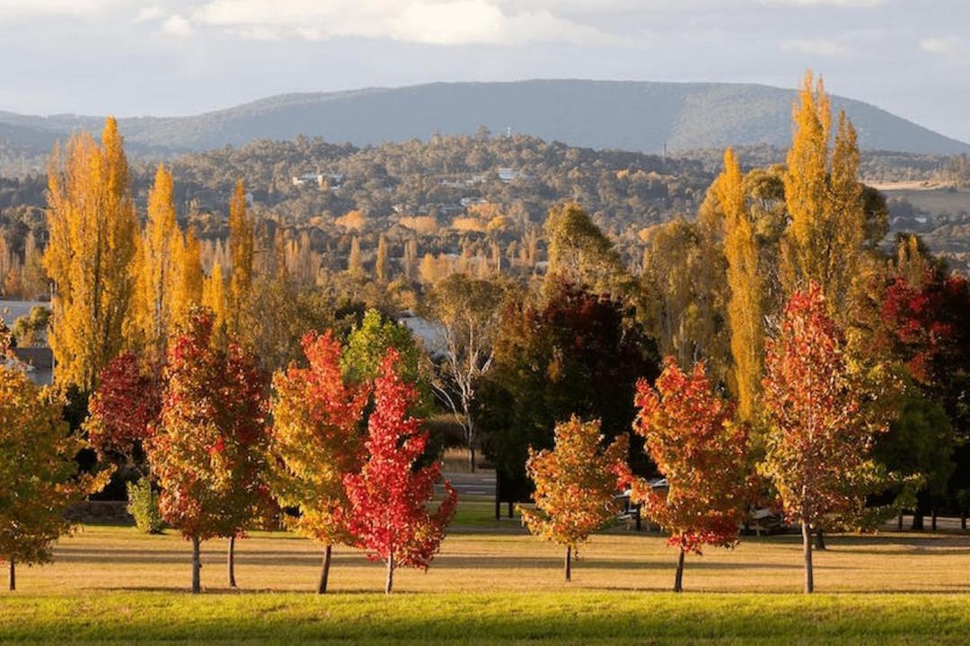 Photo of Others in Armidale