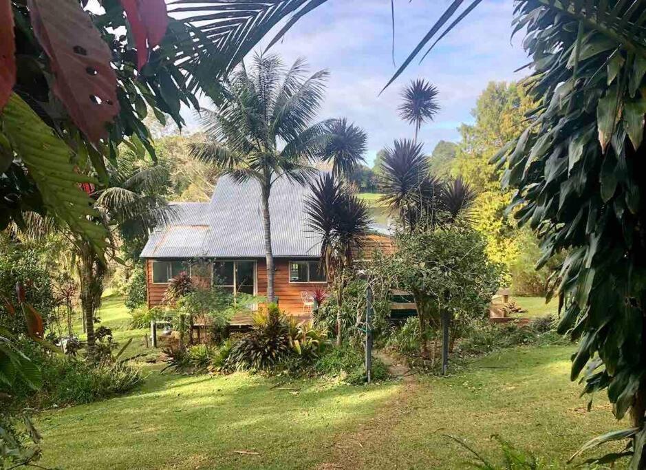 Photo of Buildings in Maleny
