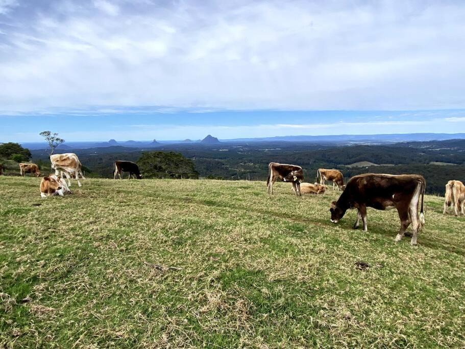 Photo of Outdoor in Maleny