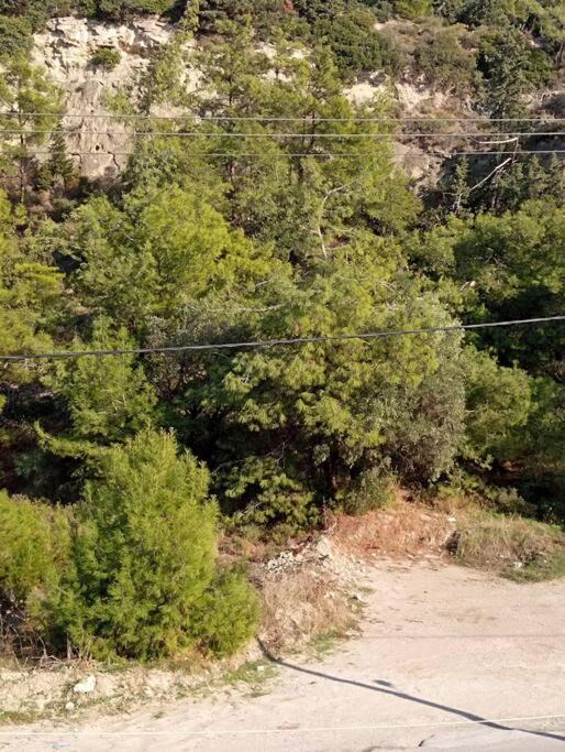 Photo of Outdoor in Ixia