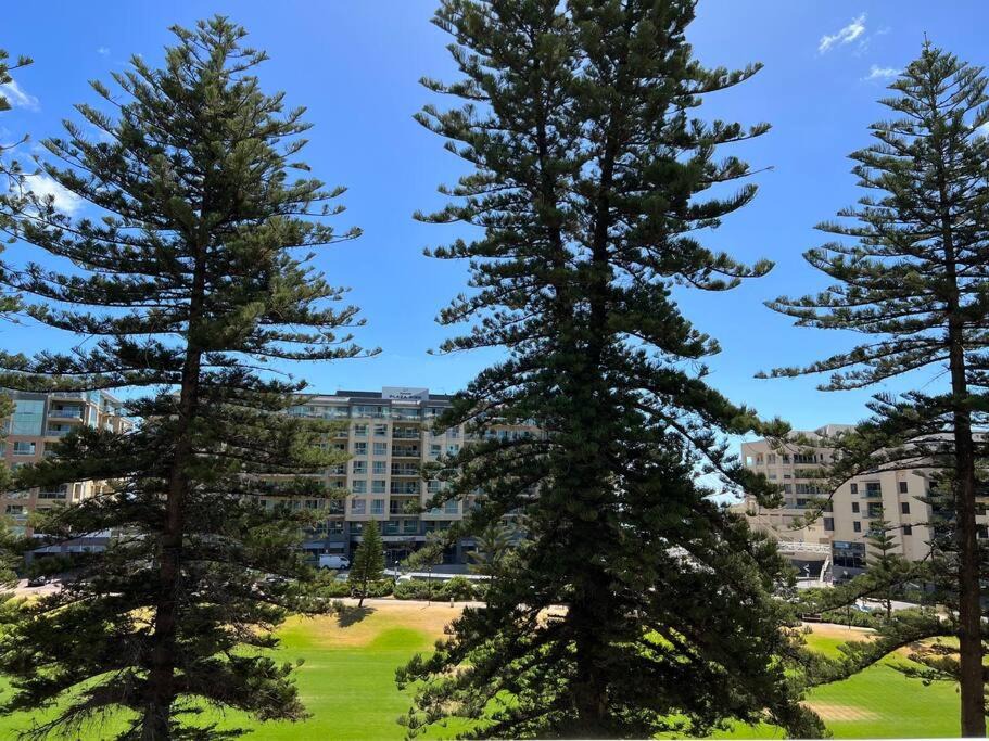 Photo of Others in Glenelg