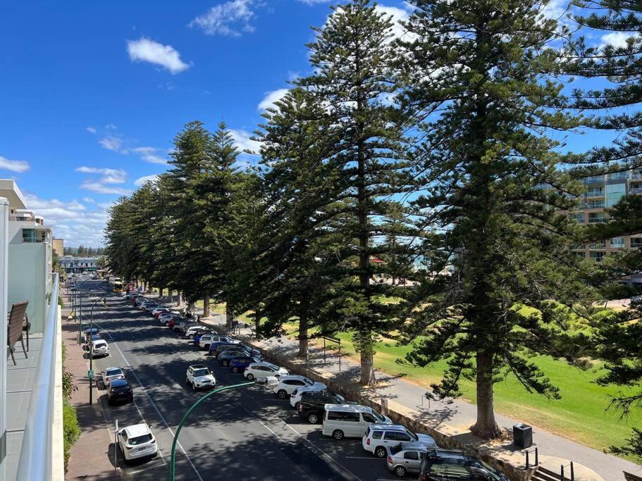 Photo of Others in Glenelg