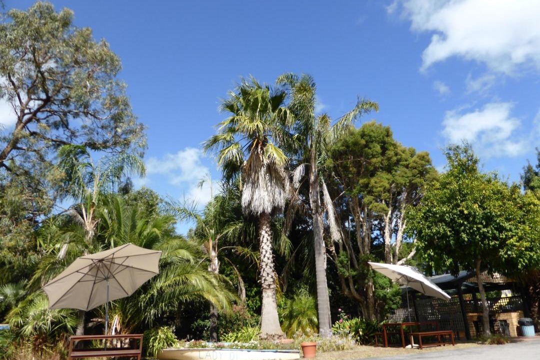 Photo of Outdoor in Balnarring