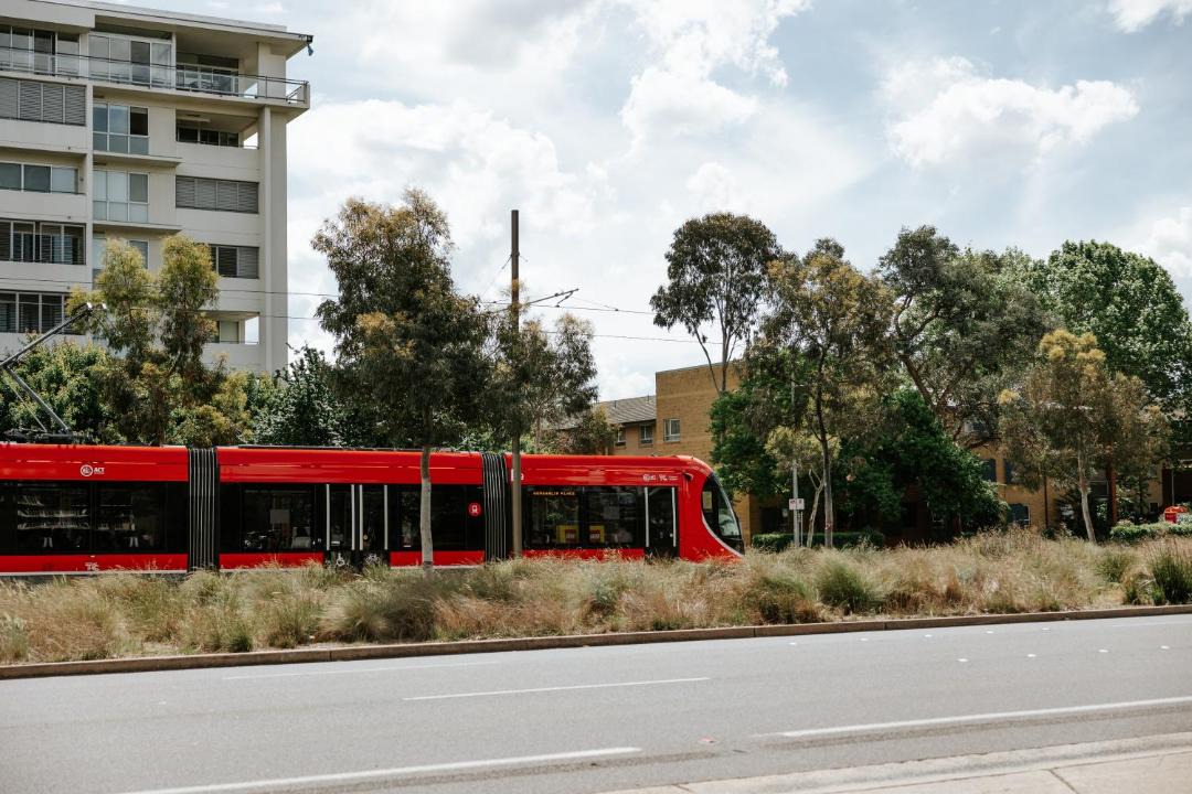 Photo of Others in Braddon