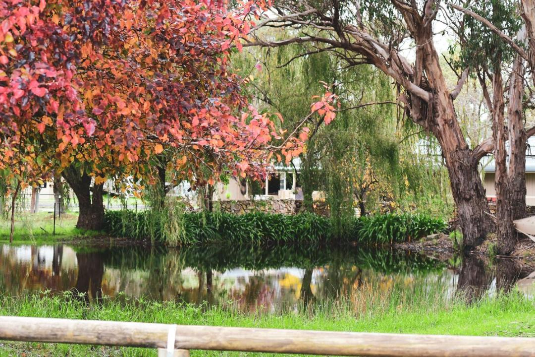 Photo of Outdoor in High Range