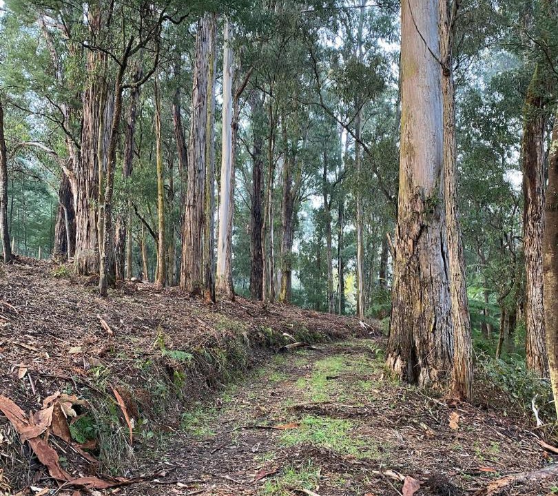 Photo of Others in Monbulk