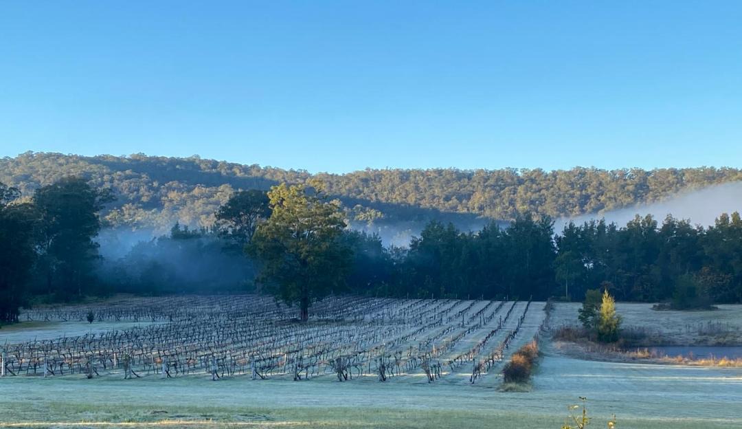 Photo of Outdoor in Wollombi