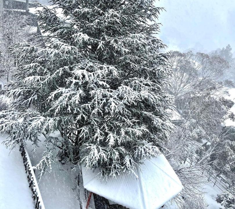 Photo of Others in Thredbo