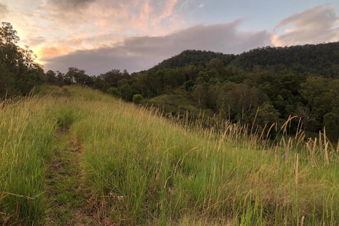 Photo of Outdoor in Fawcetts Plain