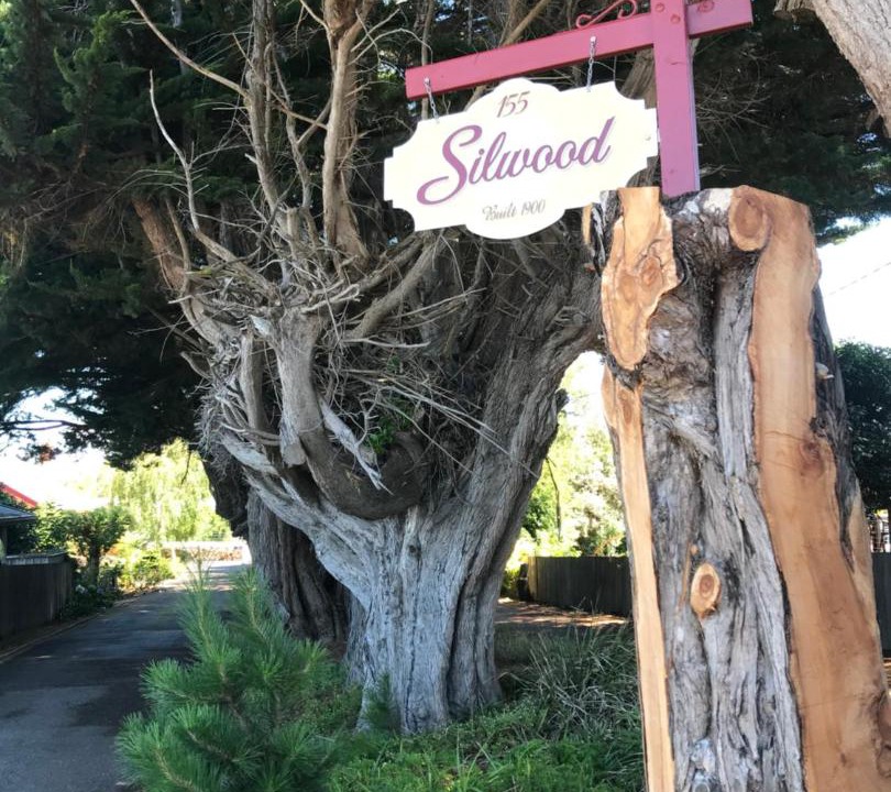 Photo of Outdoor in Devonport