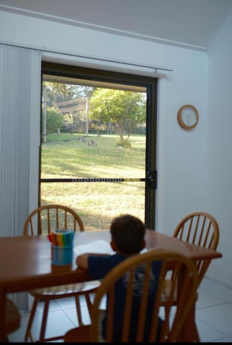 Photo of Livingroom in Bawley Point
