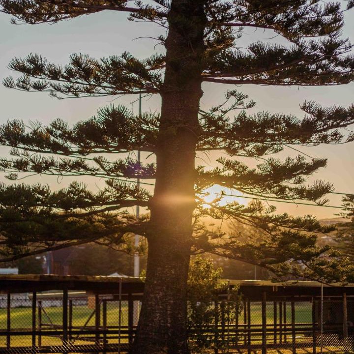 Photo of Buildings in Kiama