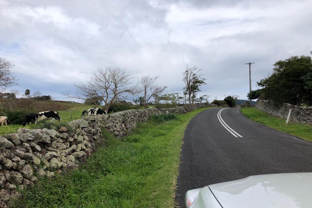 Photo of Others in Kiama