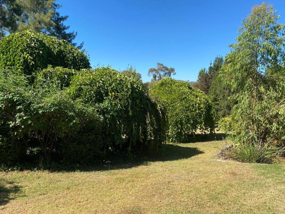 Photo of Others in Yackandandah