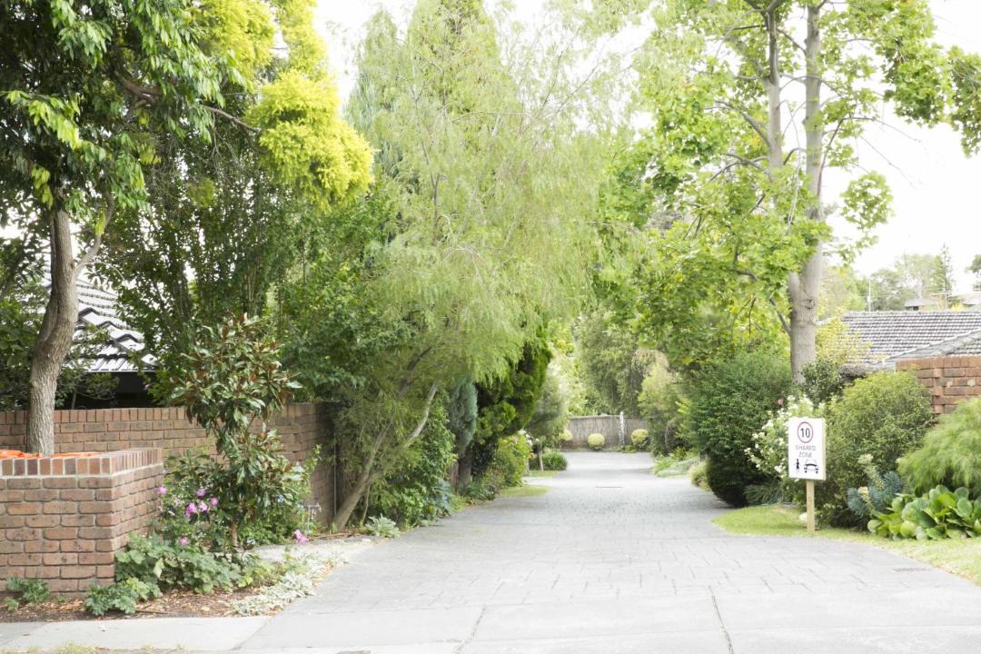 Photo of Others in Hawthorn