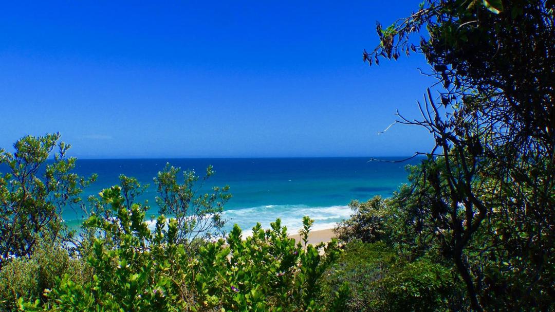 Photo of Outdoor in Bermagui