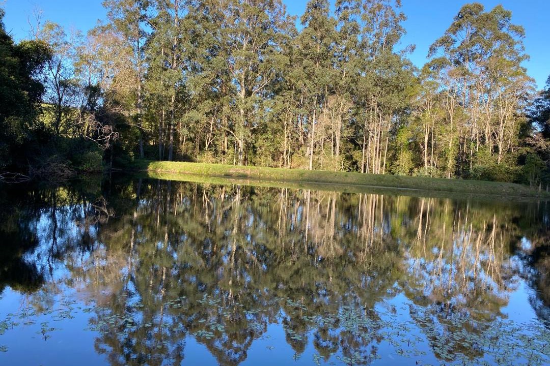 Photo of Outdoor in Bandon Grove