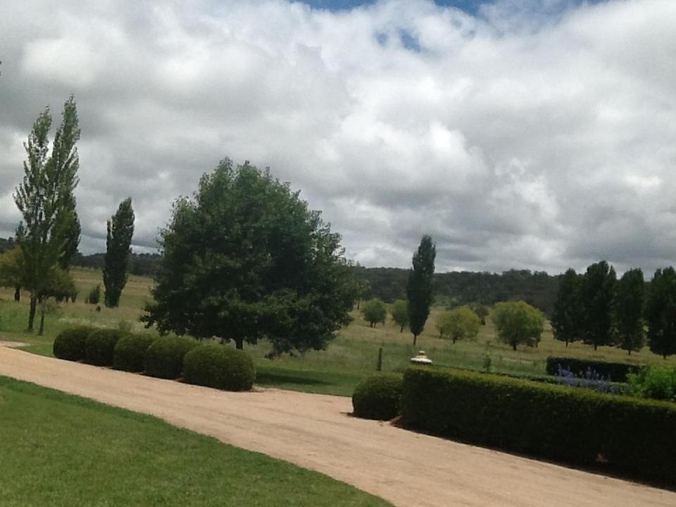 Photo of Others in Glen Innes