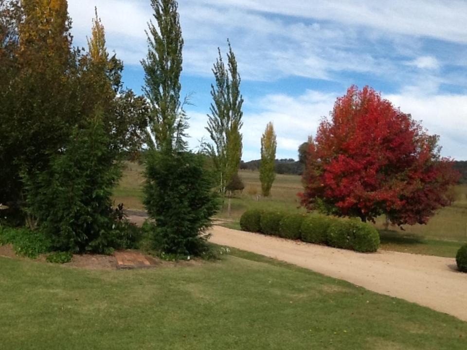Photo of Others in Glen Innes