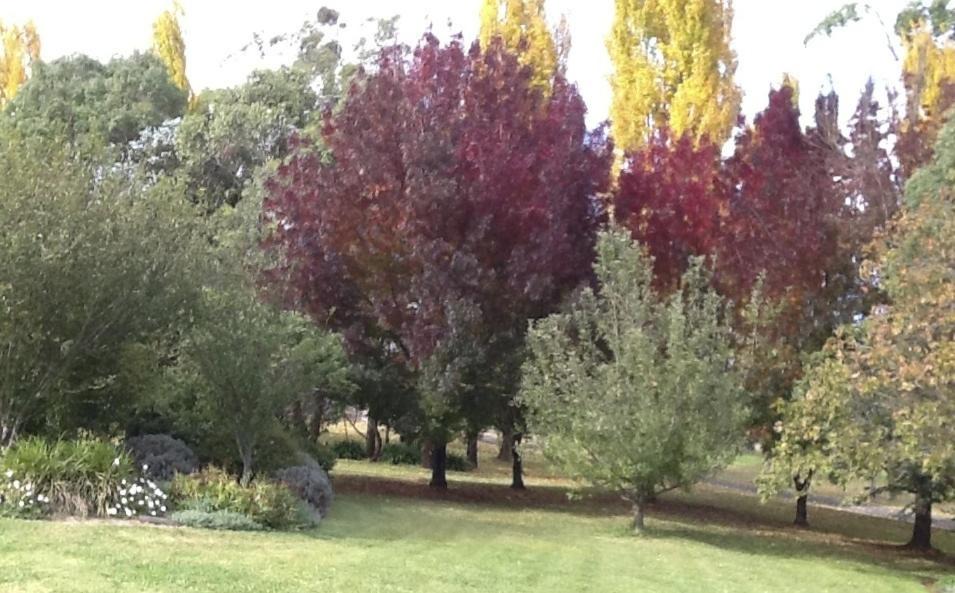 Photo of Others in Glen Innes