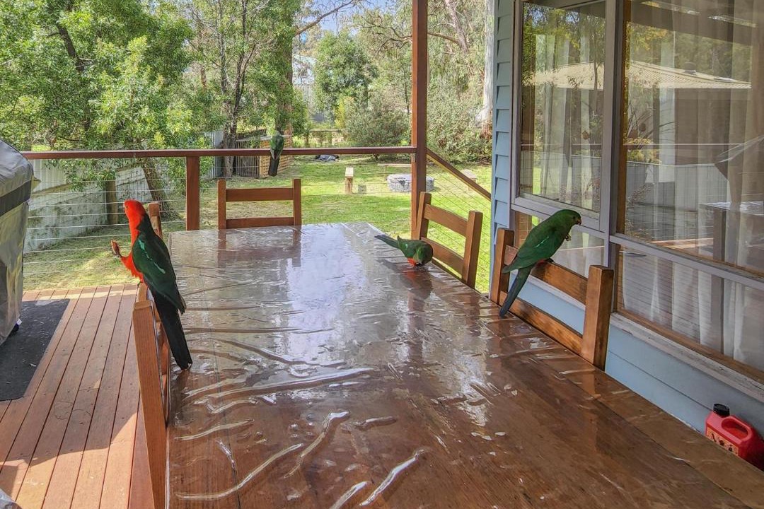 Photo of Patio Balcony in Sawmill Settlement
