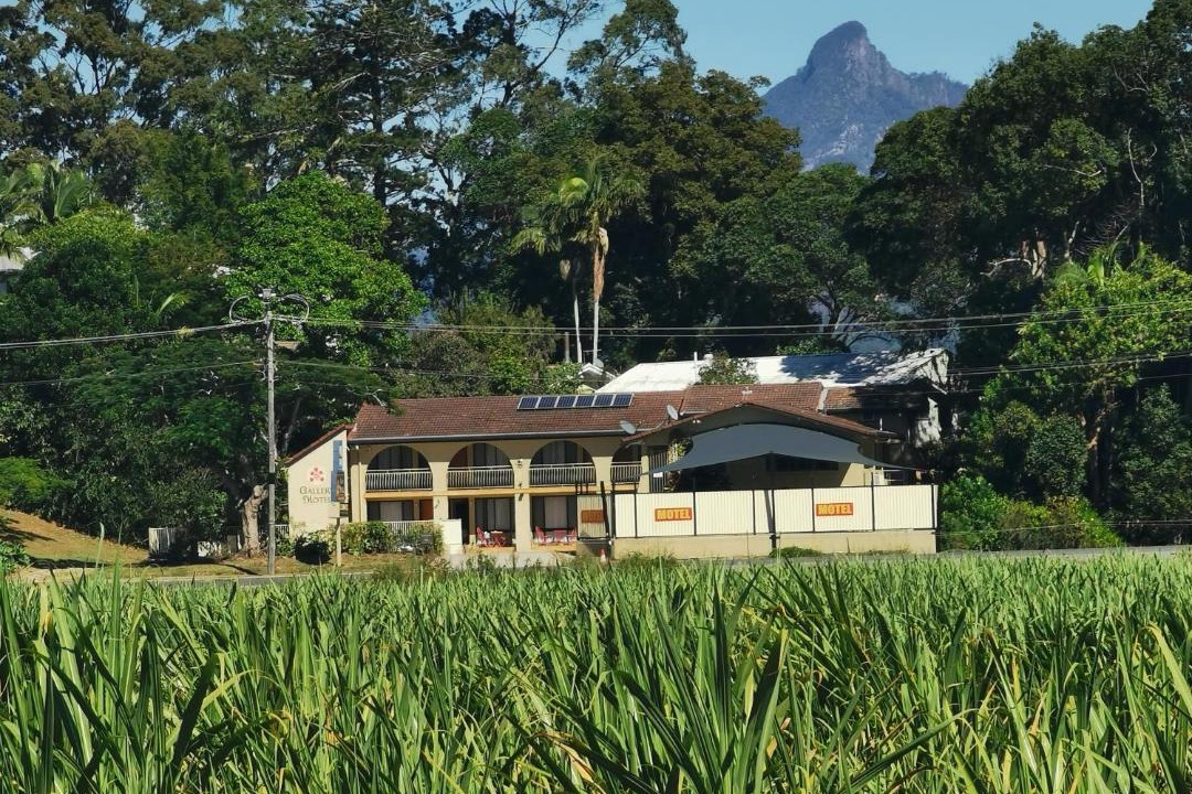 Photo of Others in South Murwillumbah