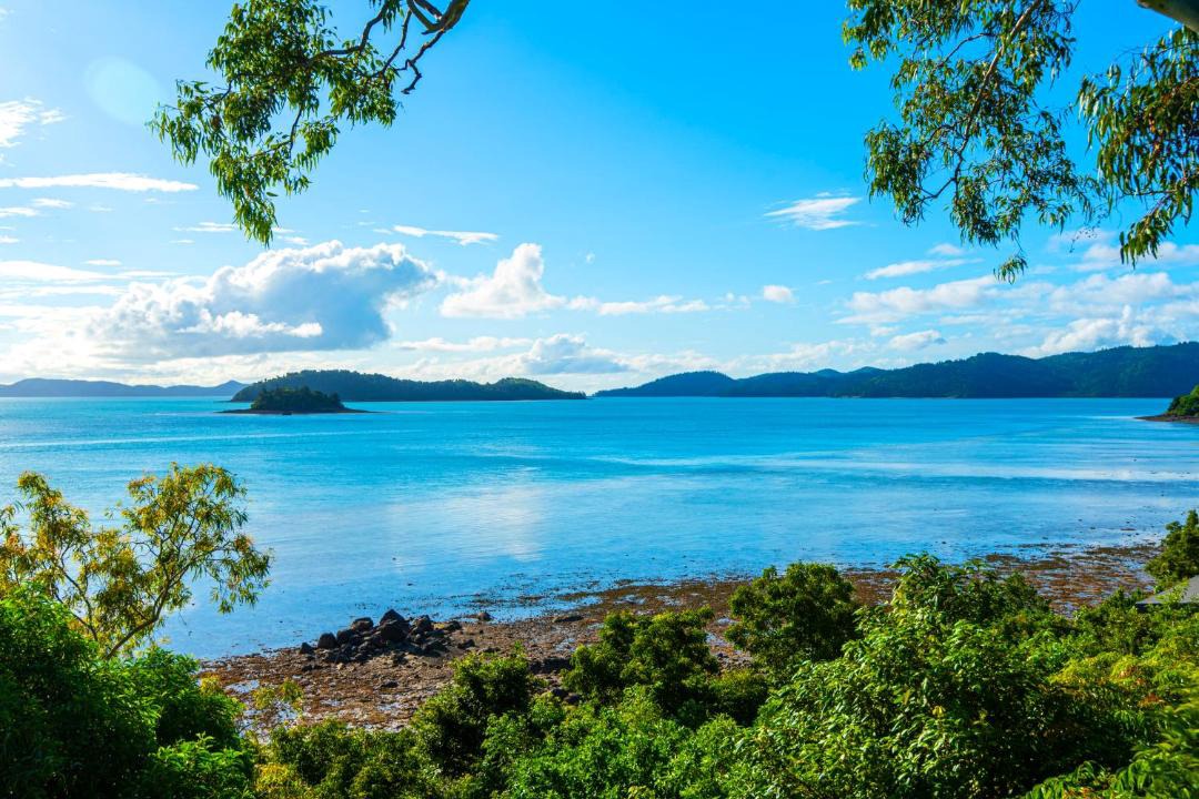 Photo of Others in Hamilton Island