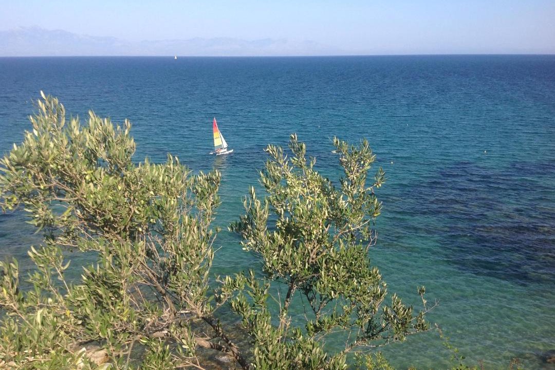 Photo of Others in Vounaria