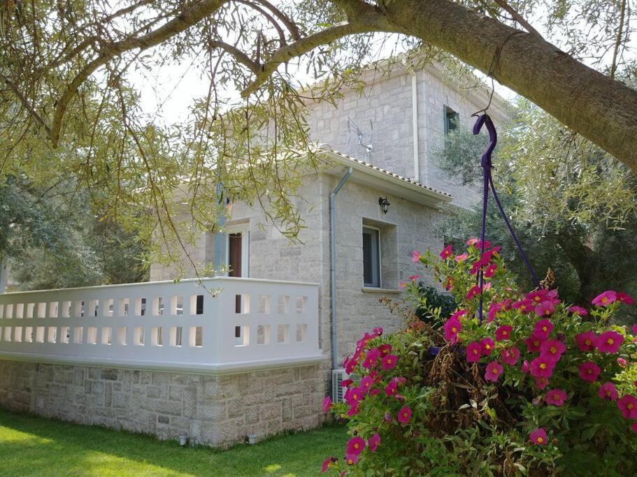 Photo of Buildings in Frinion