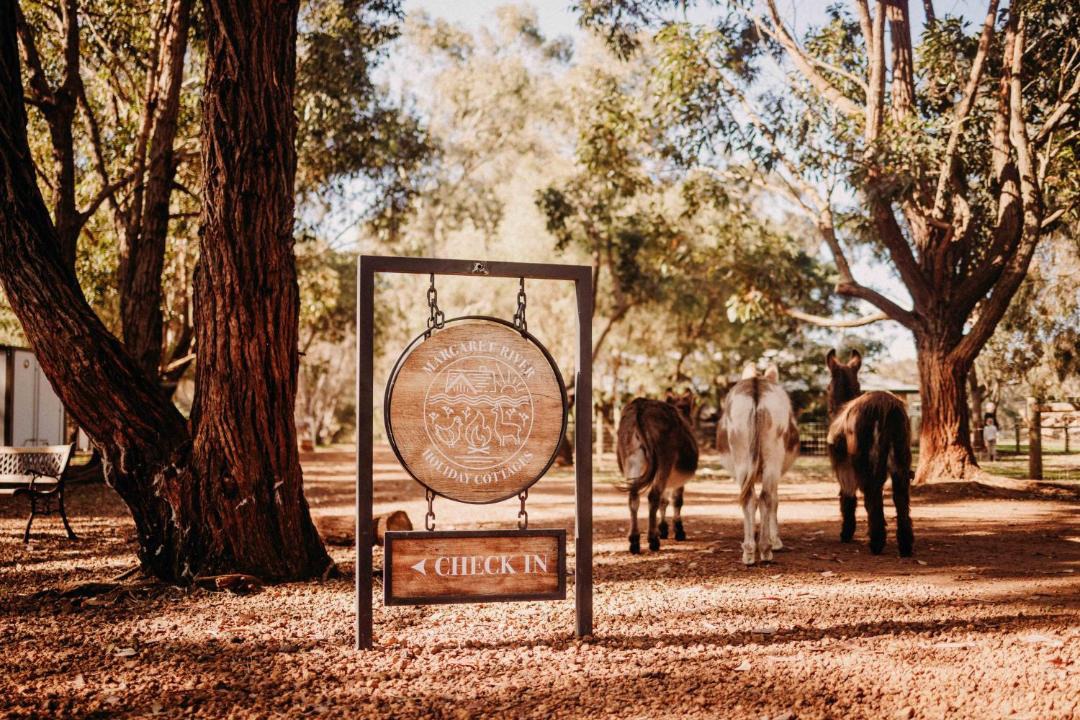 Photo of Others in Margaret River