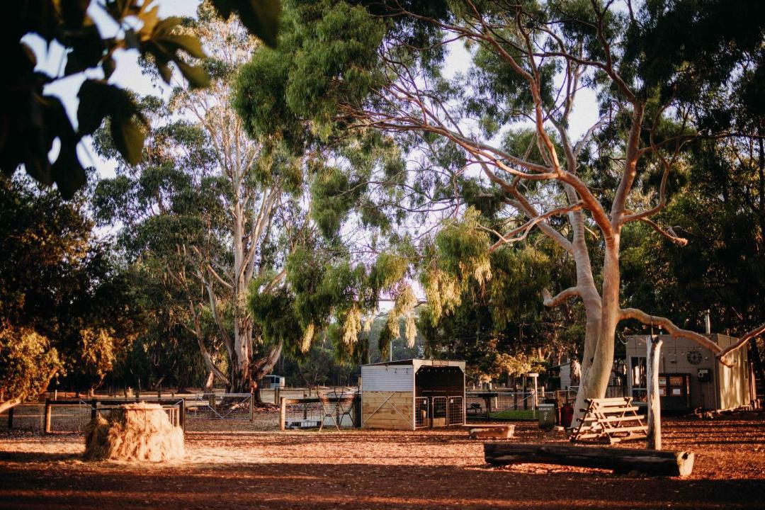 Photo of Others in Margaret River