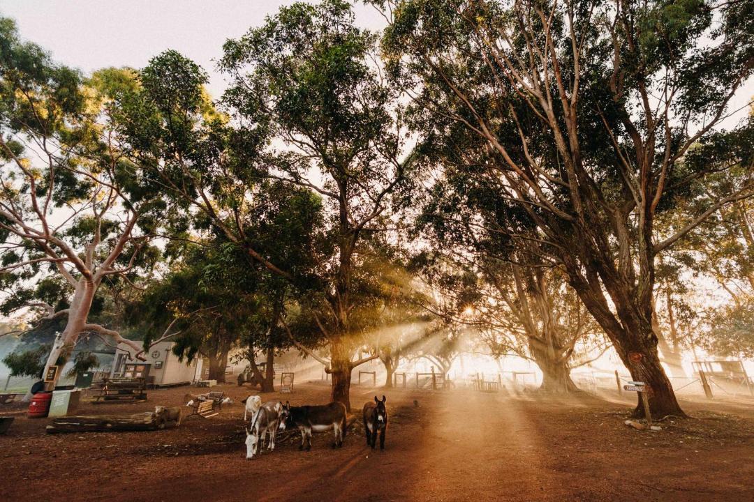 Photo of Others in Margaret River
