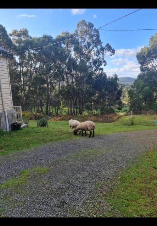 Photo of Others in Geeveston