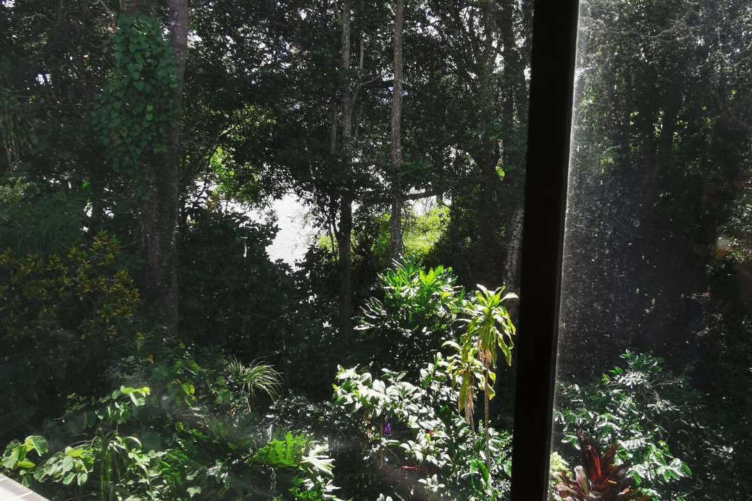 Photo of Others in South Murwillumbah