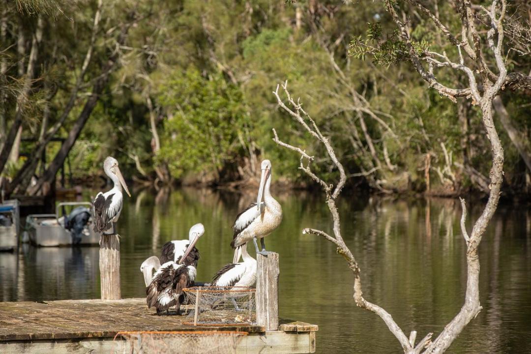 Photo of Others in Charlotte Bay
