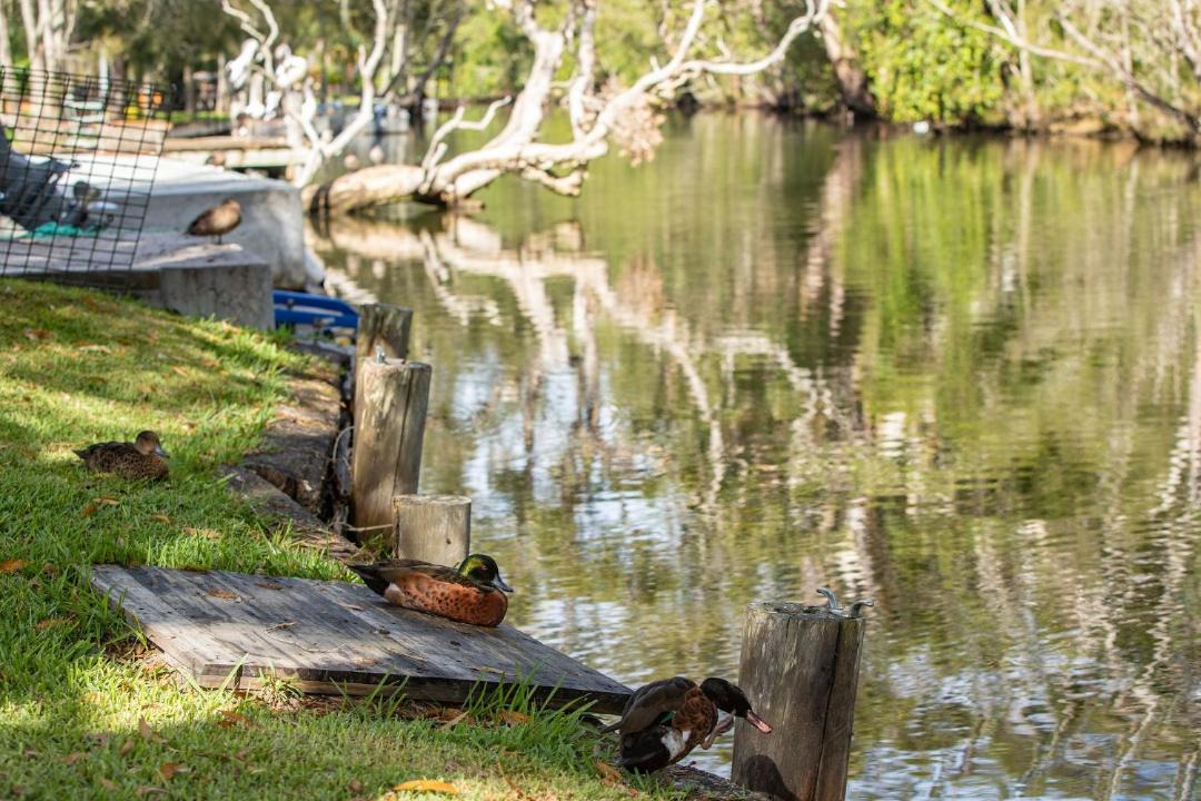 Photo of Others in Charlotte Bay